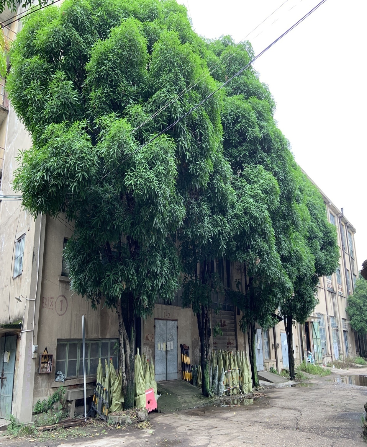 圖片關鍵詞 圖片關鍵詞