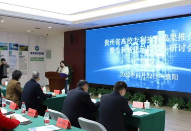 加強(qiáng)知識產(chǎn)權(quán)運營 助力實體經(jīng)濟(jì)發(fā)展——貴州省高校專利技術(shù)成果推介會暨專利轉(zhuǎn)化運用研討會圓滿召開