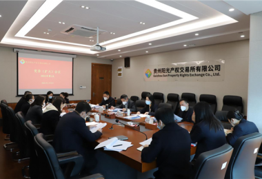 開局謀新篇 實干啟新程——貴州陽光產(chǎn)權交易所黨委召開黨委（擴大）會議