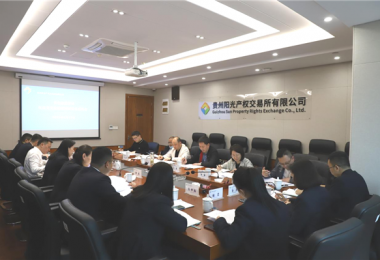 貴州省地方金融監(jiān)管局、貴州證監(jiān)局、貴陽市金融辦到貴州陽光產(chǎn)權交易所、貴州環(huán)交所開展權益類交易場所調研