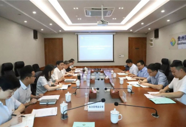 西南聯(lián)合產(chǎn)權(quán)交易所、西藏電子商務(wù)有限公司與貴州陽光產(chǎn)權(quán)交易所交流座談會