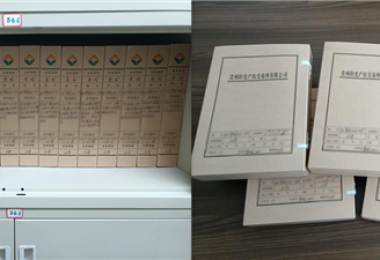 推進檔案“三化”管理   提升檔案服務效能