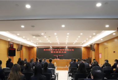 以案為鑒，警醒前行——貴州陽光產權交易所黨委組織召開2024年警示教育大會