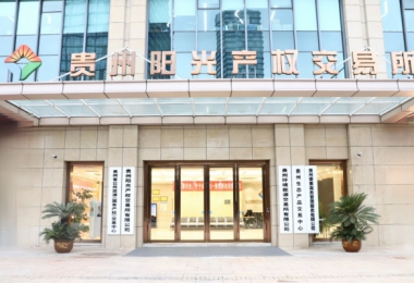 貴州要素商務(wù)管理服務(wù)有限公司掛牌成立  打造要素市場化服務(wù)新高地