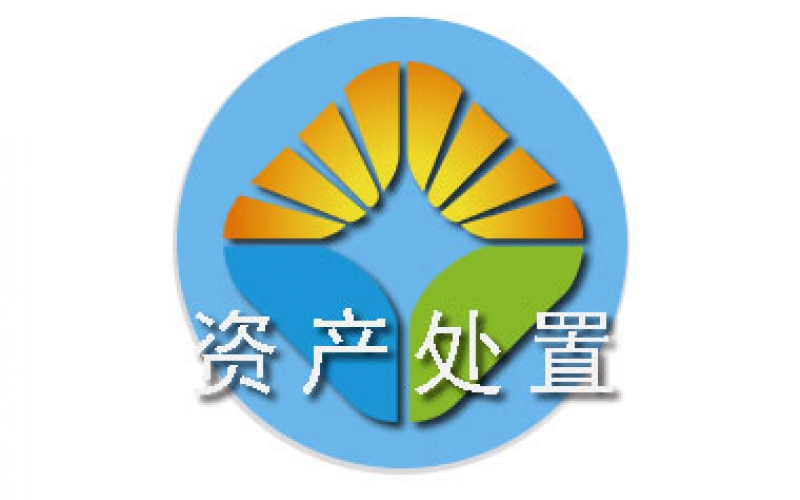 貴陽副食果品有限公司持有的寶馬X3車輛資產(chǎn)